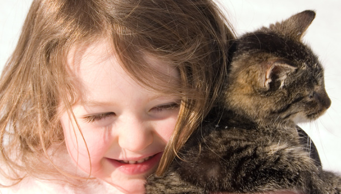 How to Treat FIP in Cats A Step-by-Step Guide for Owners