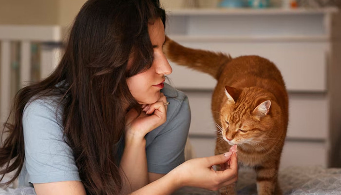 Are Treatment Outcomes Different for Wet and Dry FIP