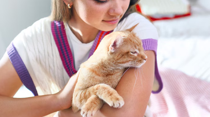 Can FIP Be Cured In Cats