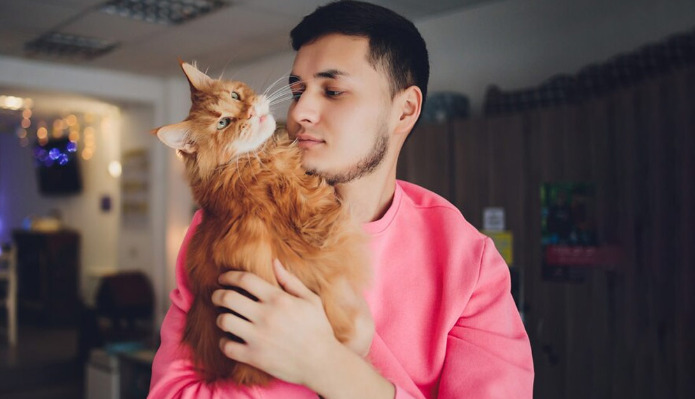 Can a Cat’s Diet Be Changed During FIP Treatment