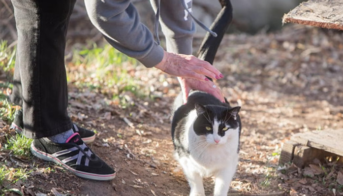 Are Treatment Approaches Different for Wet and Dry FIP