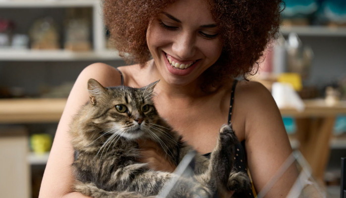 Can a Cat Have FIP Even If Test Results Are Not Typical