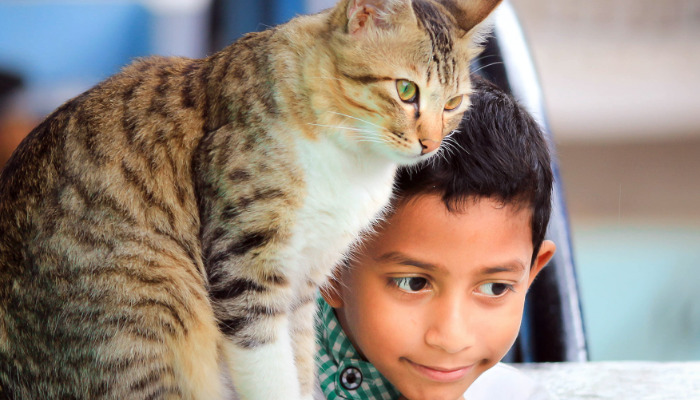 Does Frequent Moving Increase FIP Risk