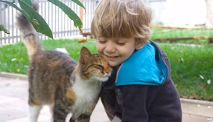 NeoFipronis Recovery Stories From Real Cats