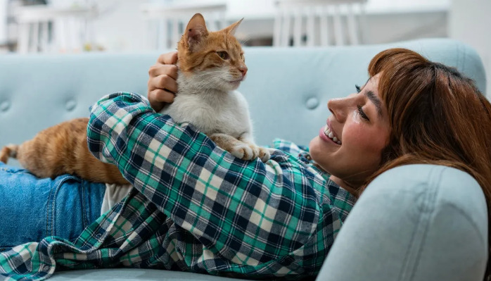 Can Cats Recover if FIP Treatment Starts Late