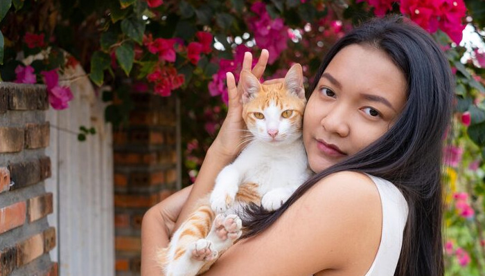 How Long Does FIP Treatment Usually Take