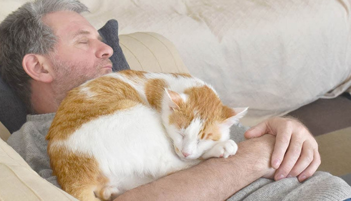 Under What Circumstances Will a Cat Get FIP