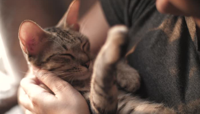 Does Frequent Illness Increase the Risk