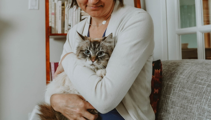 FIP medication for cats
