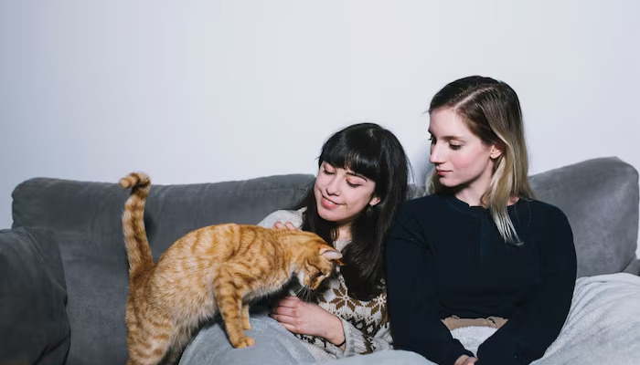 Does Daily Companionship Help Reduce FIP Occurrence