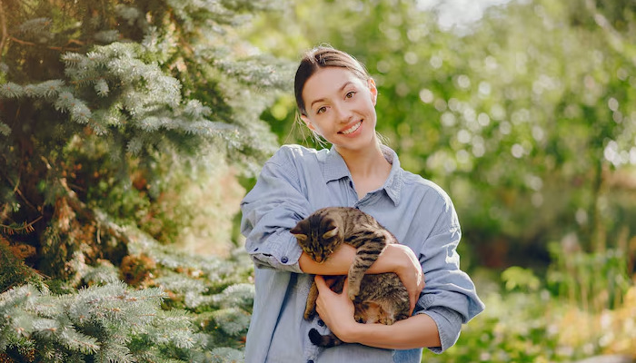 Is It Normal for FIP Blood Test Results to Fluctuate