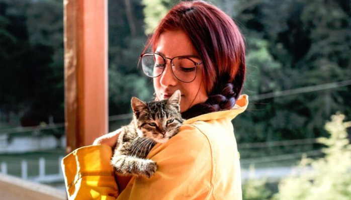 Can Feline Infectious Peritonitis (FIP) Be Treated Without Medication