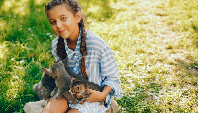 What Are the Obvious Symptoms of FIP