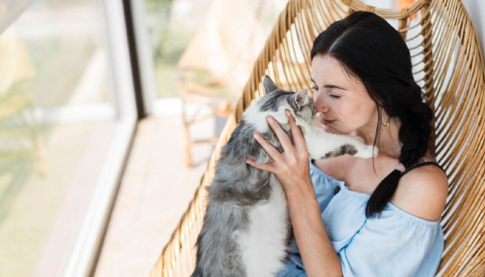 Does Improved Energy Mean FIP Medication Is Working