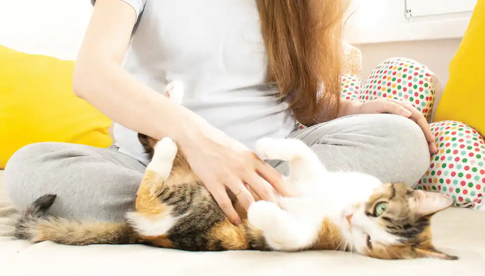 Can Routine Physical Exams Detect FIP Risk Early