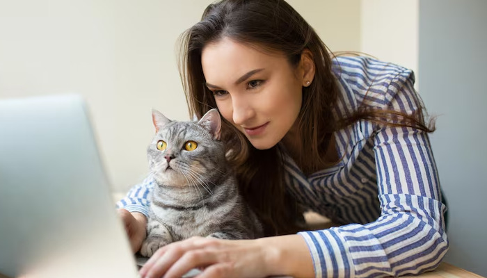 Clinical Efficacy Evaluation of FIP