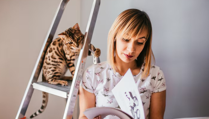 Can the Treatment Plan Be Adjusted During FIP Treatment