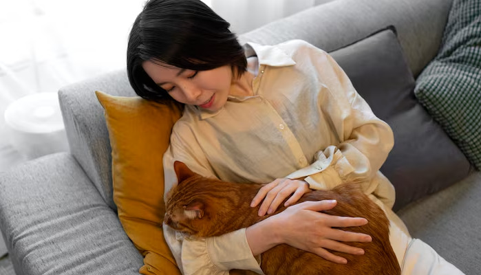 Can Cats Live Normally During FIP Treatment