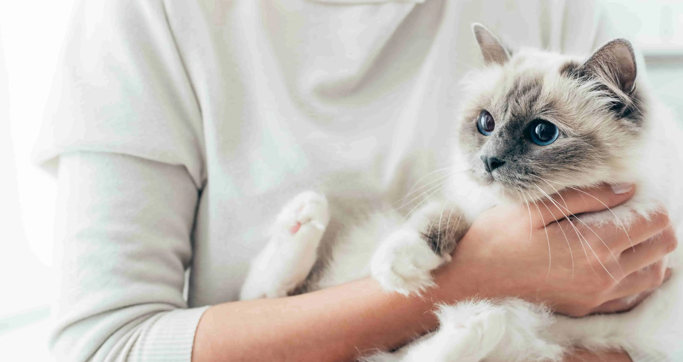 What is the chance of a second recurrence of FIP