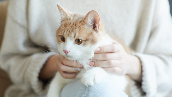 What Long-Term Precautions Help Reduce FIP Risk