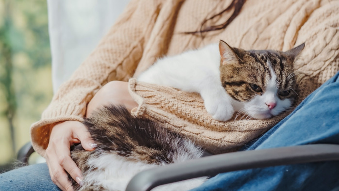 Can the Dosage of FIP Medication Be Reduced Without Guidance