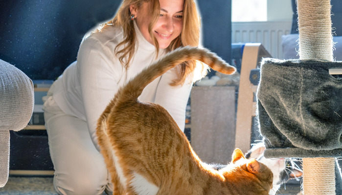 Can FIP be completely cured