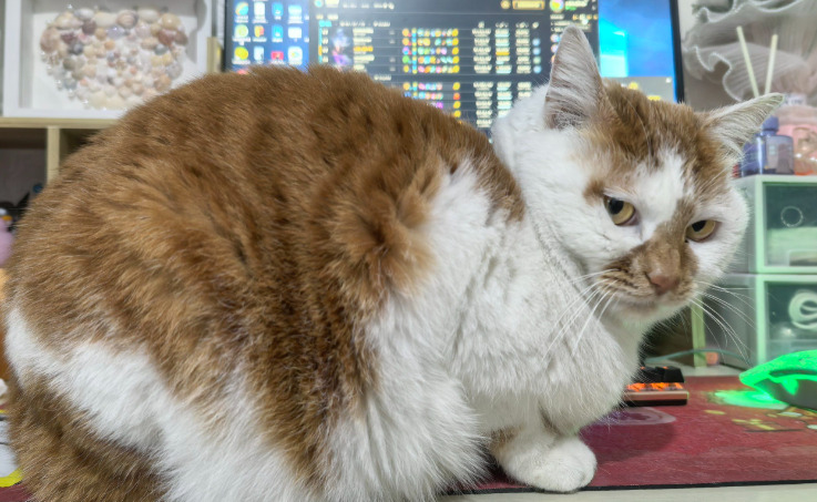 Do Dry FIP Symptoms Progress More Slowly