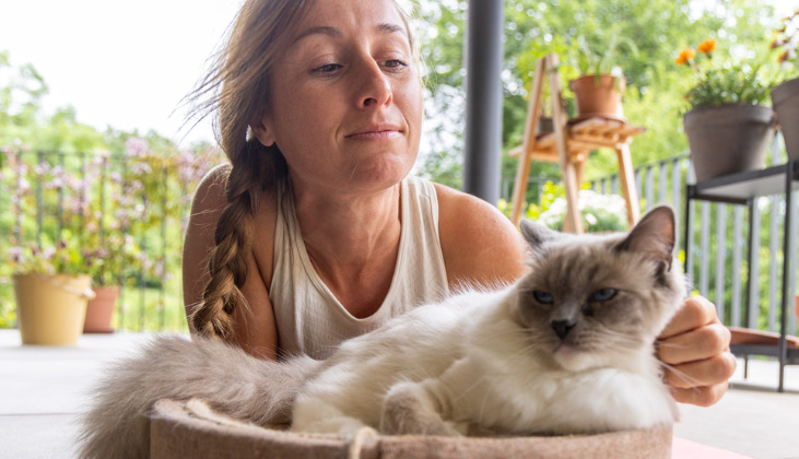 Is FIP Completely Impossible to Prevent