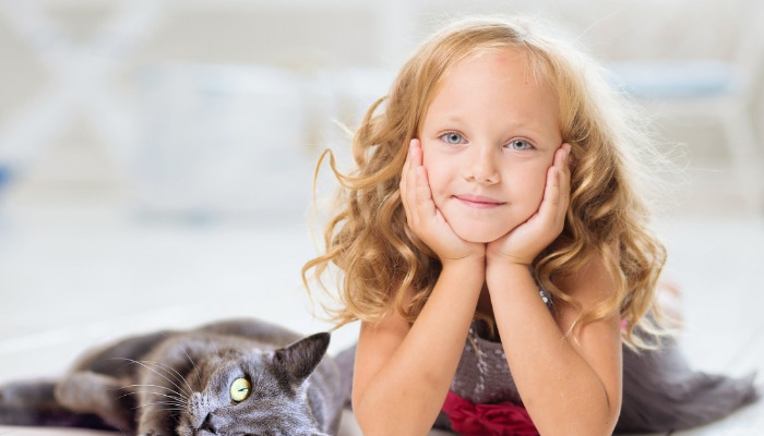 Pronidesivir Clinical Results For FIP Cats