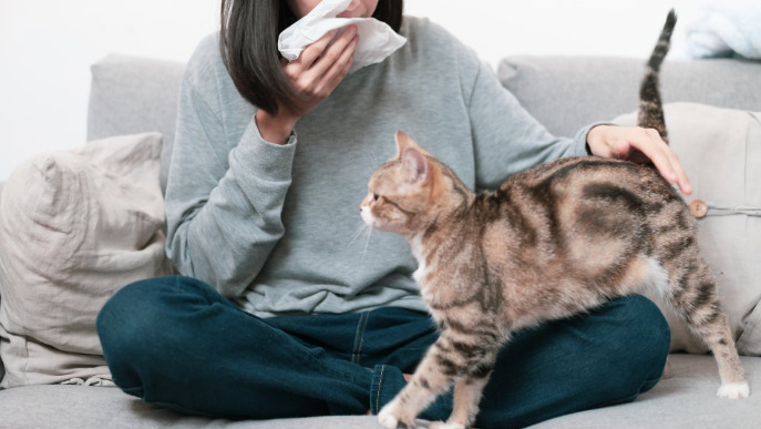 Is FIP a Diagnosis of Exclusio