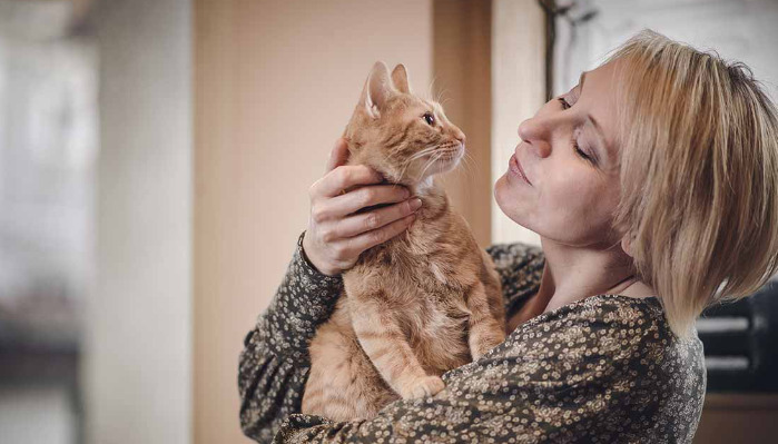 Ocular FIP Treatment Options for Cats with Eye Symptoms