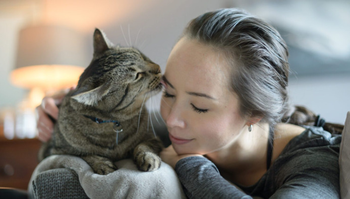 Can FIP Be Treated at Home With Oral Medication