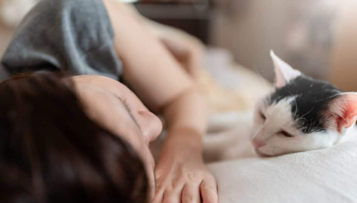 Cat Not Eating During FIP Treatment