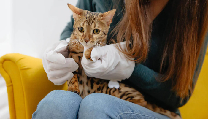 Can Early Prevention Reduce the Severity of FIP