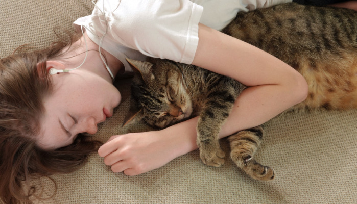 Is Frequent Follow-Up Testing Necessary During FIP Diagnosis