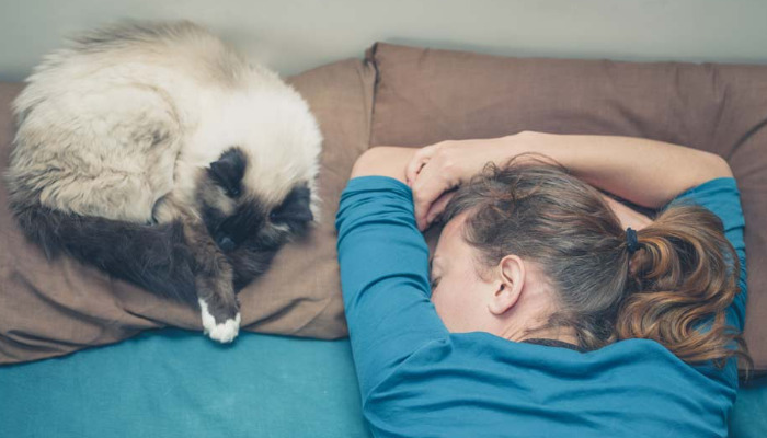 What Causes Ascites In Cats With FIP