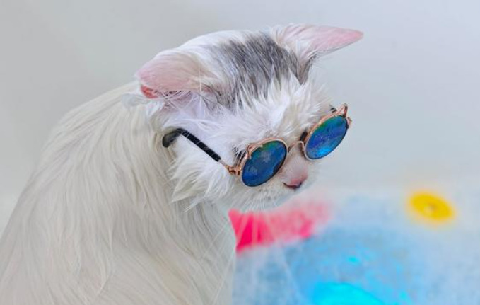 How long does it take for appetite to re