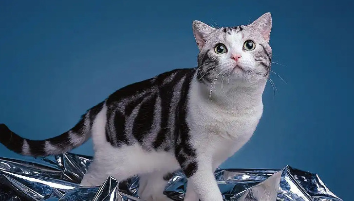 Isolation and prevention of FIP