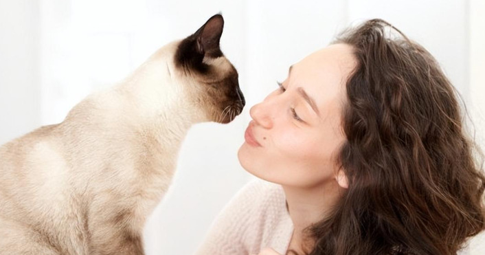 What are the symptoms of FIP in cats