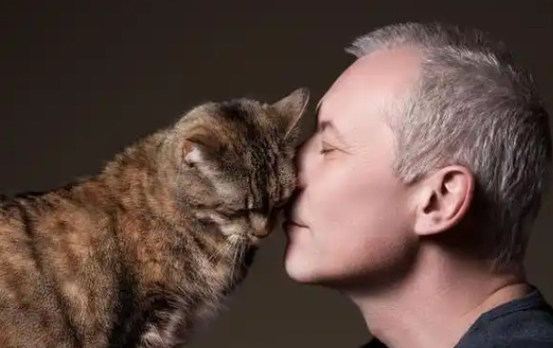 What Reliable Information Sources Should Owners Trust About FIP