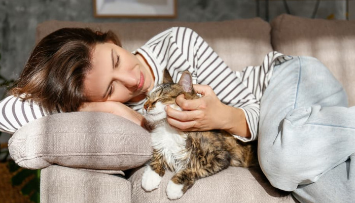 How Veterinarians Diagnose FIP in Cats