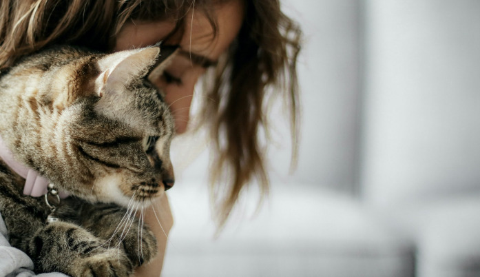 Why Veterinarians Recommend GS-441524 For FIP