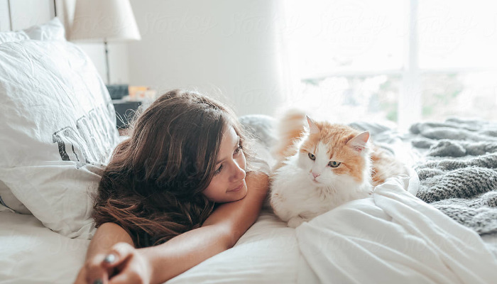 Common Reasons for FIP Treatment Failure