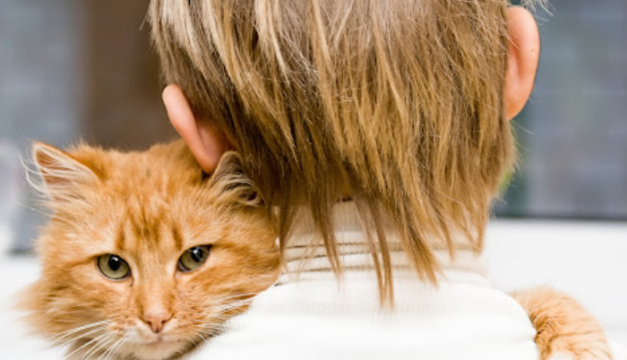 Common Mistakes During FIP Treatment
