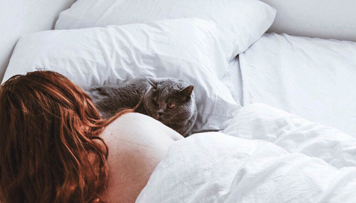 Are Follow-Up Exams Necessary During FIP Treatment