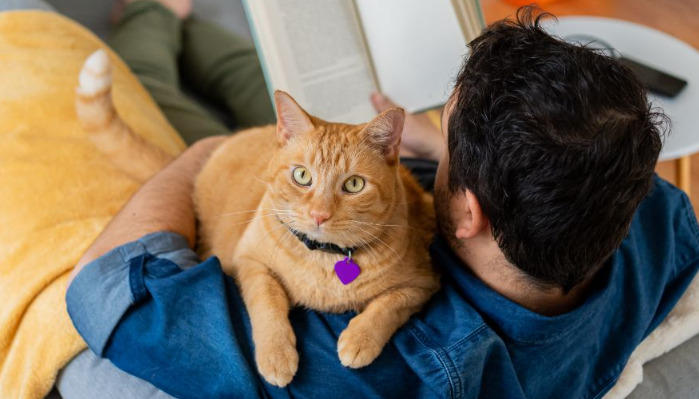 What are the late-stage symptoms of FIP