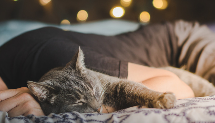 Why Is FIP One of the Most Challenging Diseases to Diagnose