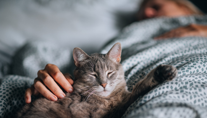 Sources and Transmission Routes of FIP