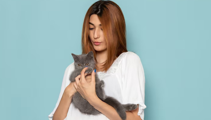 What is the mortality rate of FIP