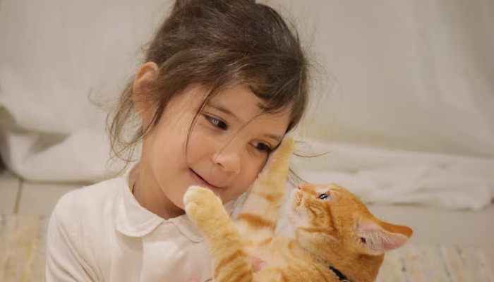 Is the Chance of FIP Spreading to Other Cats High